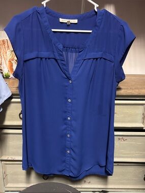 Blue Blouse